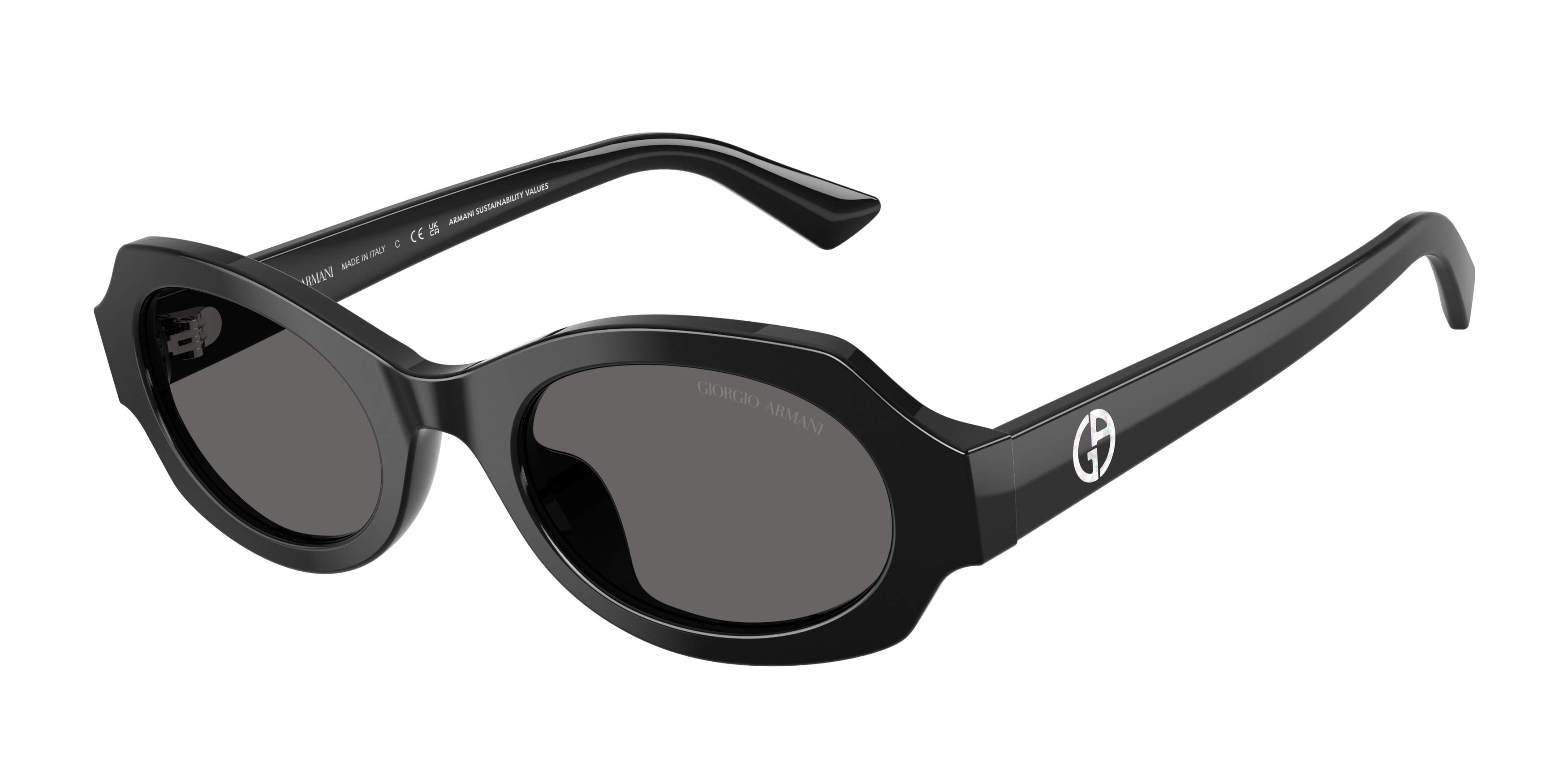Giorgio Armani AR8245HU 587587  